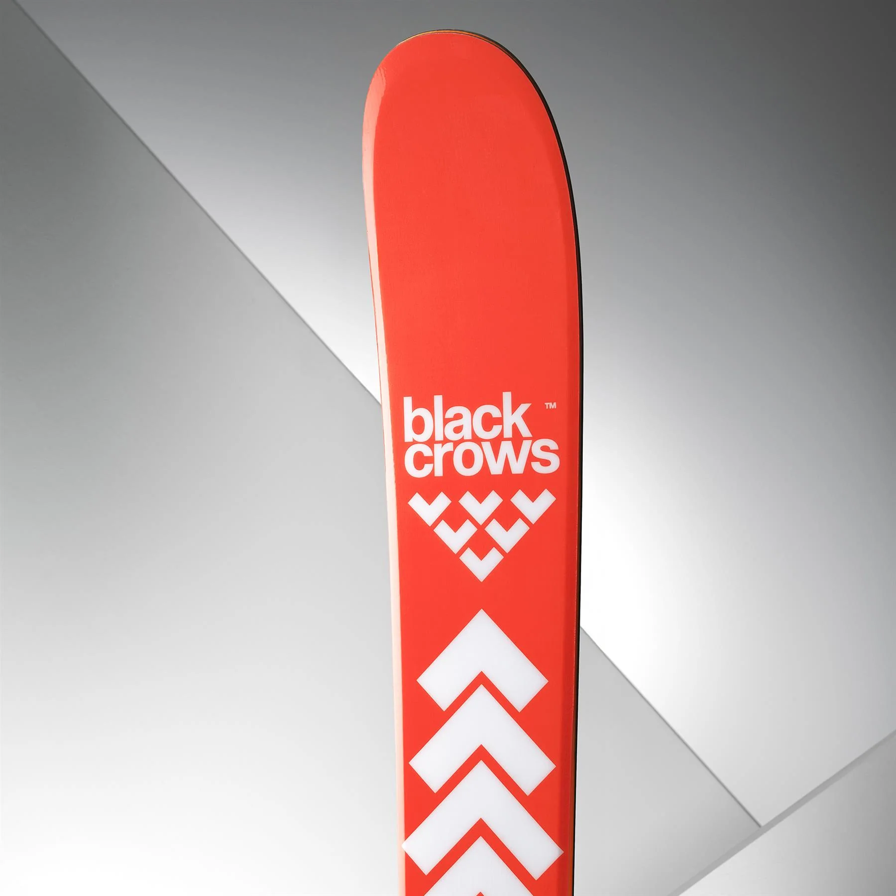 Black Crows Camox Birdie Womens Skis 2026 - Image 4